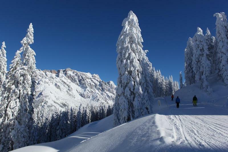 Ferienwohnung Am Berg 34 Maria Alm am Steinernen Meer Exterior foto